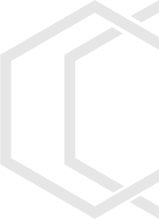 logo bg